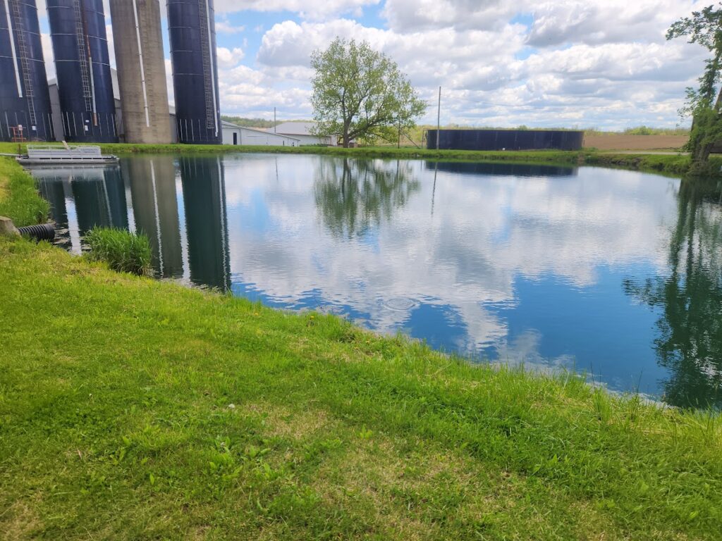 Pond Reflection