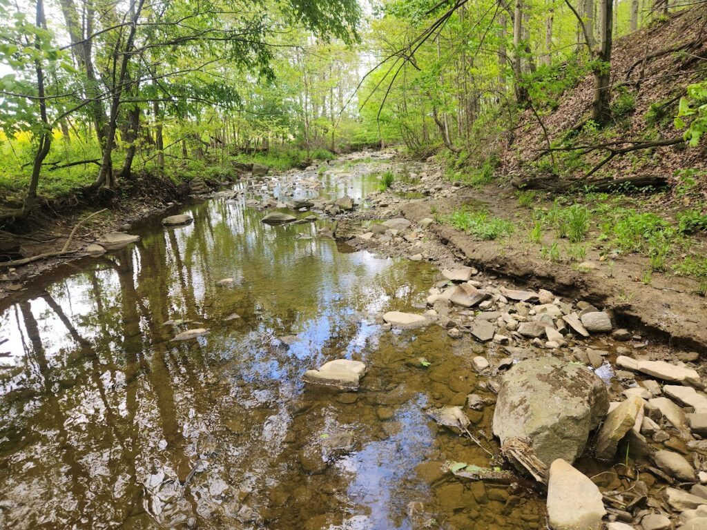 Stream 5